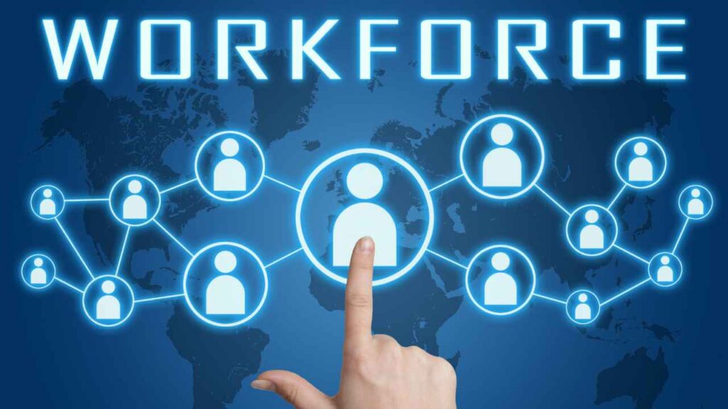 How to Manage Workforce Data with an All-in-One HR Platform